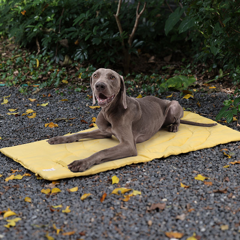 Portable Pet Mat Foldable Pet  - огляд і ціна Outdoor Rug Waterproof